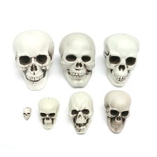 Halloween Props Human Skull