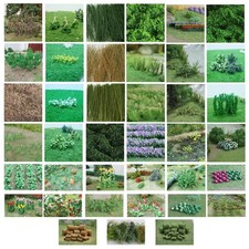 Tasma Products high quality flowers and plants for OO gauge railway layouts