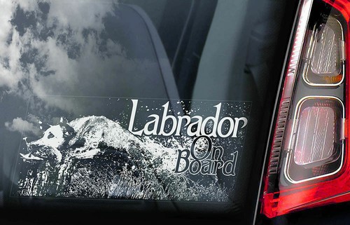 Labrador car sticker dog on - labrador,