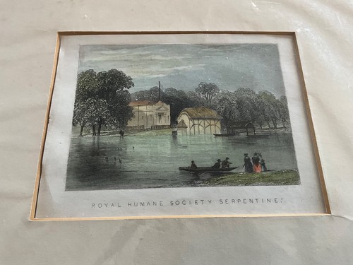 Antique 1851 print royal - antique,
