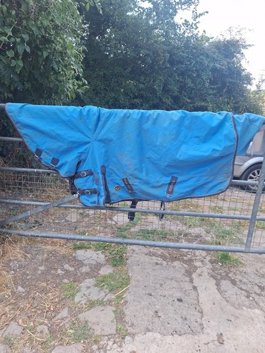Mark todd lightweight full - todd,