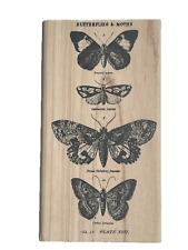 Stampers Anonymous - Tim Holtz