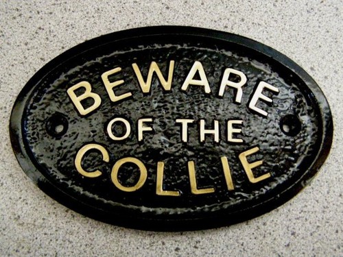 Collie beware plaque - collie,