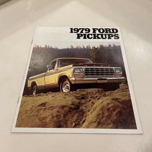 Original 1979 ford pickup - 1979,
