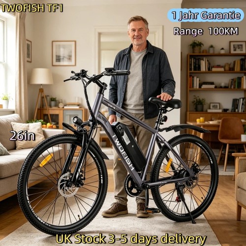 City electric bicycle 36v - city,