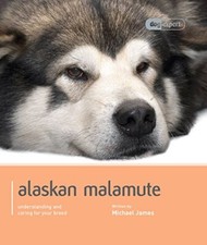 Alaskan Malamute (Dog Expert)