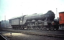 Colour slide of 60081 ER A3 class steam loco