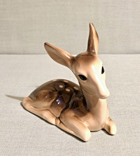 Lying Down Fawn/Baby Deer