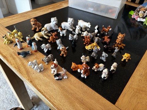 Vintage animal hospital - 90’s,