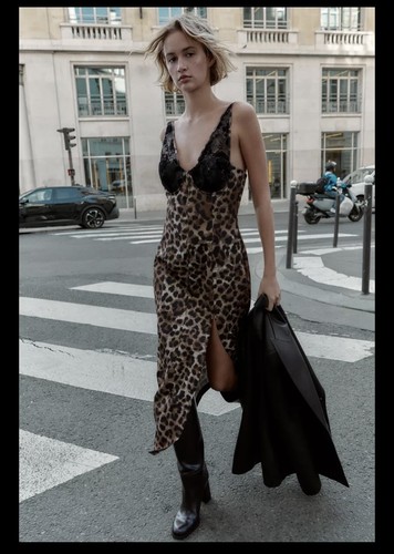 Bnwt zara animal - zara, leopard