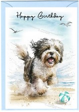 Tibetan Terrier Dog Birthday Card (6" x 4") with blank inside - by Starprint
