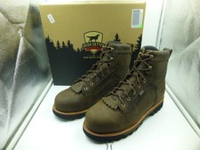 Red Wing Irish Setter