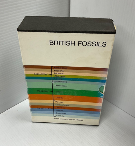 British palaeozoic mesozoic - british,