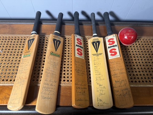Vintage signed mini cricket - 5,