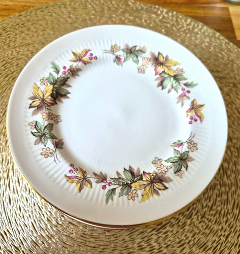 Royal standard bone - bone, china