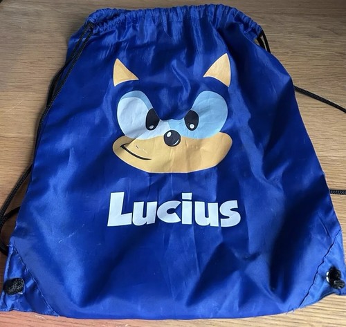 Sonic the hedgehog custom pull - hedgehog,