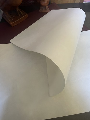Vellum goat skin parchment - goat,