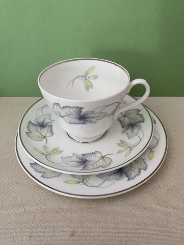 Shelley sycamore trio tea cup - trio,