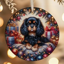 Cavalier King Charles Spaniel