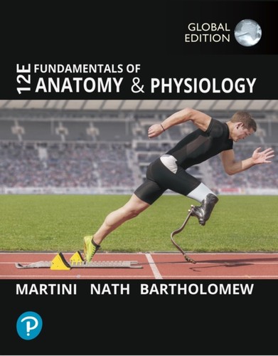 Fundamentals anatomy and - of,
