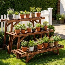 Wood plant stand - plant, ladder