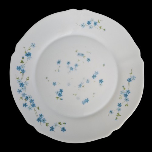 Arcopal blue forget not - me,