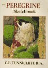 The peregrine sketchbook - peregrine,