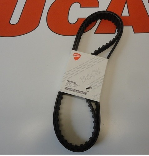 Ducati timing cam - cam, belts