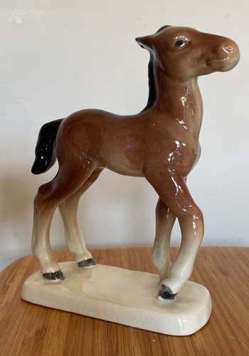 Cortendorf foal 2574 - no:,