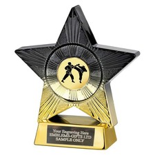 Martial Arts Karate Superstar