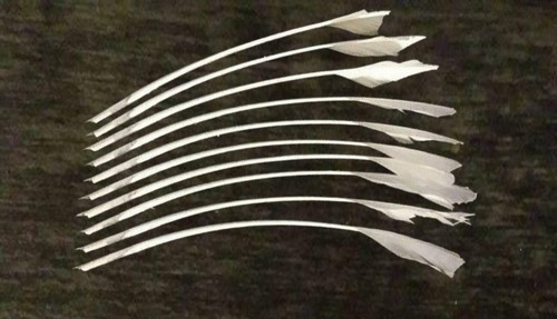 Hand cut goose quill - cut,