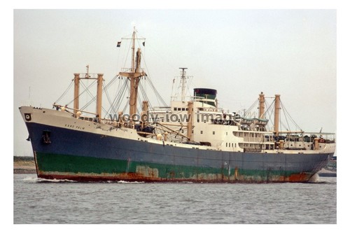 Sq0556 palm line cargo - palm, ship