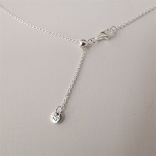 Pandora S925 Ale Curb Hallmark