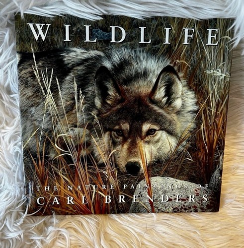 Wildlife the nature - the,