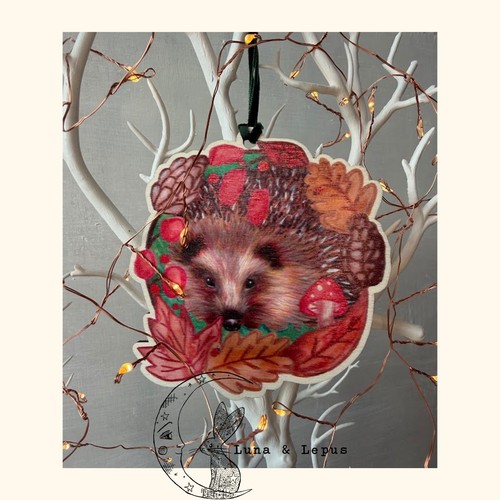 Woodland animals hedgehog - animals,