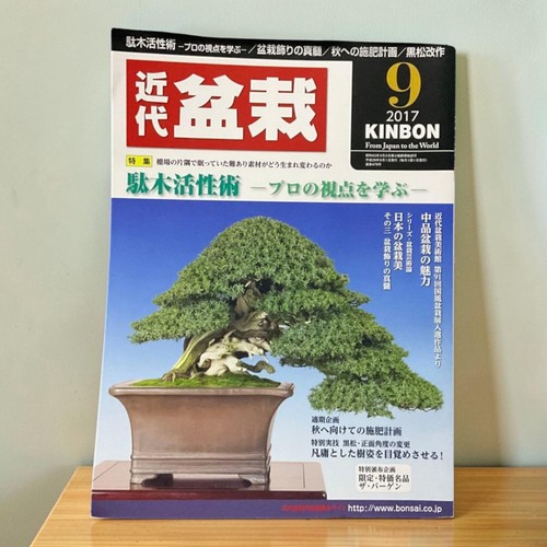 Modern bonsai september - modern, 2017