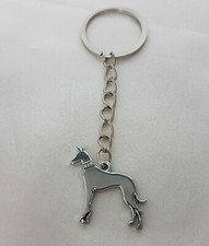 Doberman Pinscher Dog / Puppy