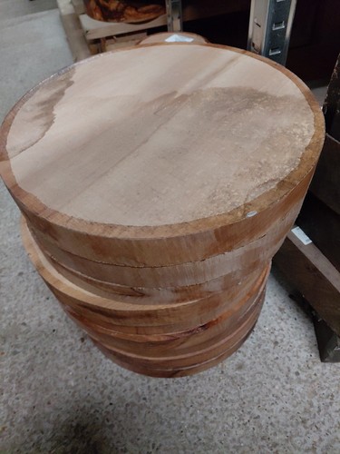 Sycamore bowl blank 330x35mm - bowl,