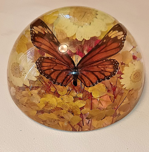 Vintage lucite butterfly - vintage,