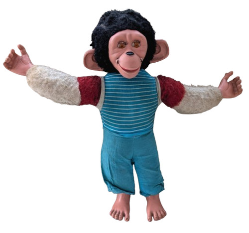 Chad vallley jacko - jacko, monkey