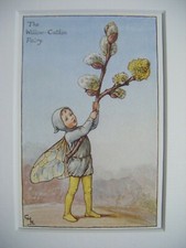 Willow Catkin Fairy Vintage Flower Fairies Print & Mount Cicely Barker c1930s