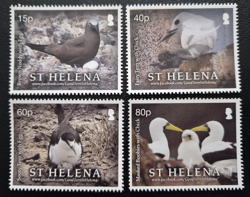 Helena 2021 birds - 2021,