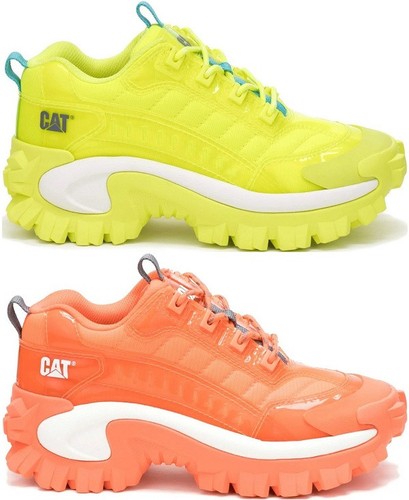 Caterpillar cat intruder - caterpillar,