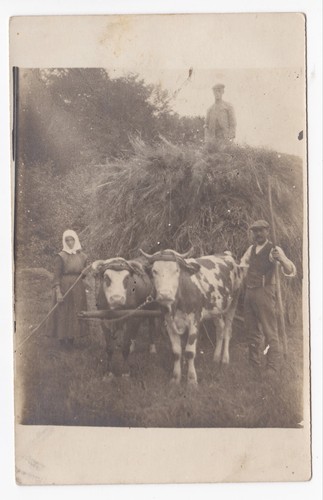 Unidentified farmer family - farmer,