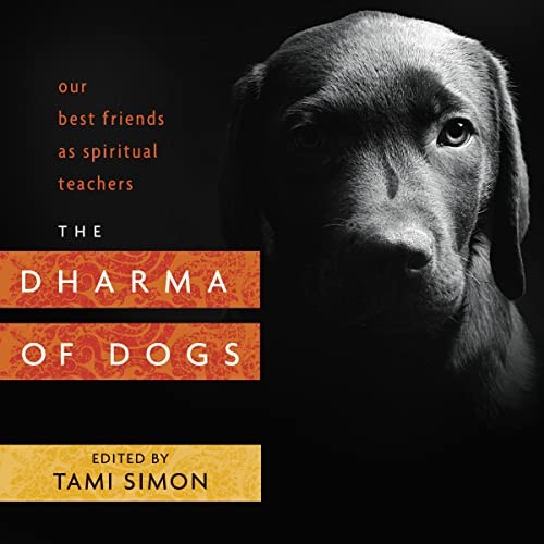 The dharma dogs our - dogs:,