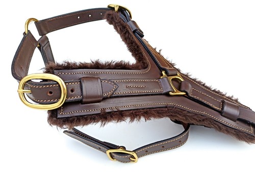 Leather dog harness large - dog,
