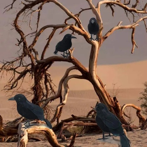 Realistic black crow halloween - realistic,