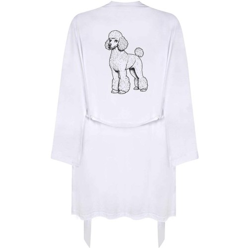 Small standard poodle adult - 'standard,