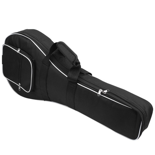 Mandolin case gig - mandolin,