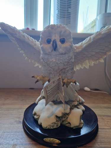 Owl the juliana collection - the,